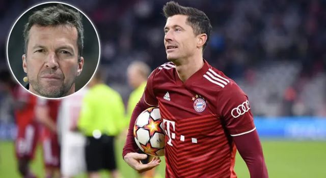 毛球的小白 毛球的小白