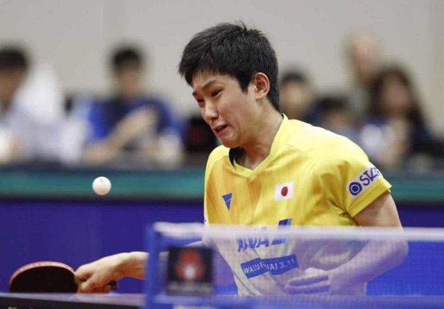 长的适应期 长的适应期